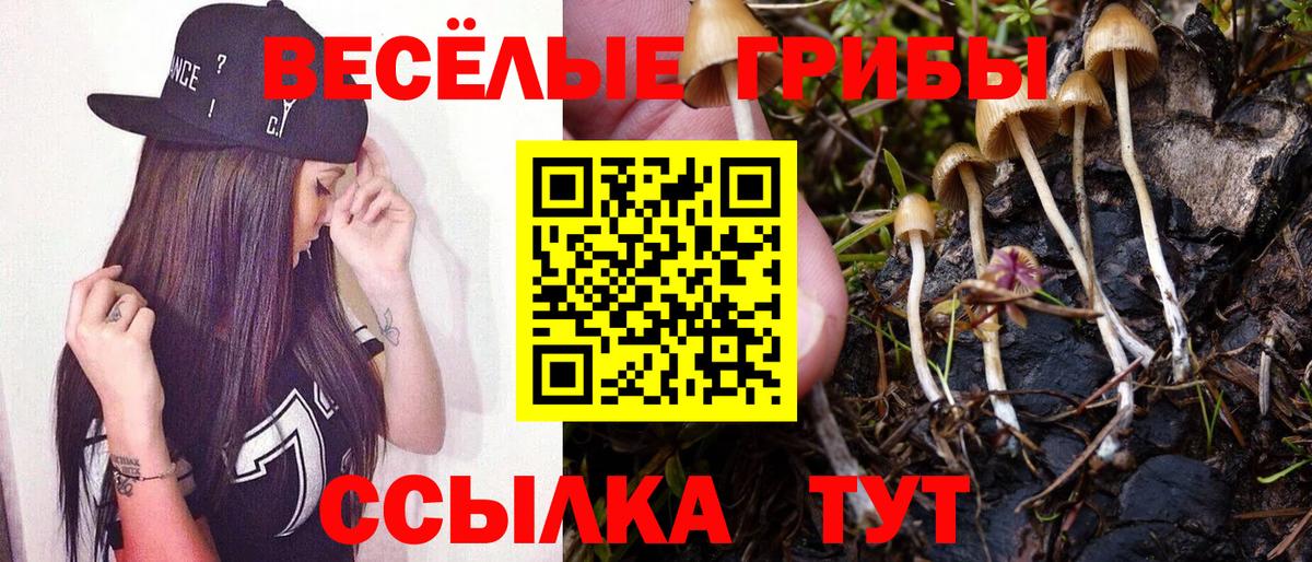 Касимов  Псилоцибиновые грибы ЛСД  Вход с VPN 
